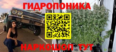 мдма Заводоуковск