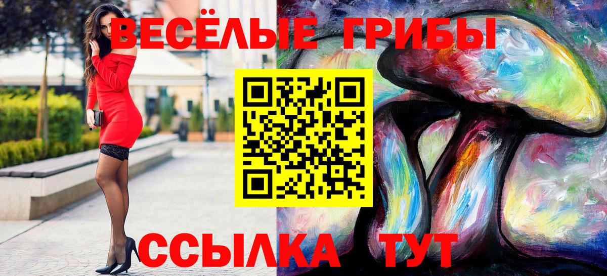 Галлюциногенные грибы Magic Shrooms Чайковский